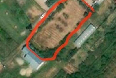 Teren intravilan de vânzare | 900 mp | Movila | Toate utilitatile - 6