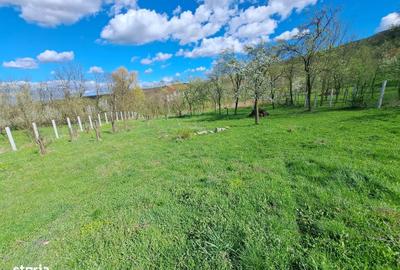 Spațiu comercial, în Straja - 2