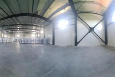 Hala industriala, platforma betonata, 300 mp - 6