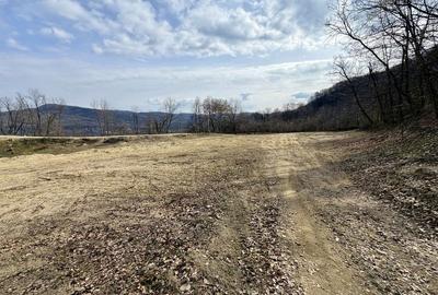 Spațiu comercial, în Păușești - 4