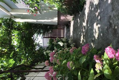 Casă cu 3 camere în Central