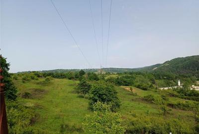 Resita, Teren Drept Intravilan, 11510 Mp., 4 Euro Mp., Valea Terovei - 9