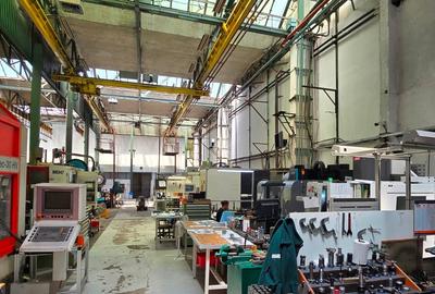 Hale de 270 - 370 mp in Parcul Industrial Roman pt. productie, depozitare - 7