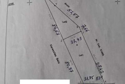 Spațiu comercial, în Șărmășag - 4