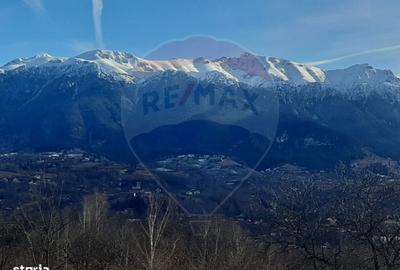Spațiu comercial, în Predeluț - 10