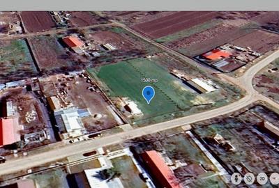 Teren intravilan 1500mp, sat Florica, comuna Ileana, jude?ul Calara?i - 1