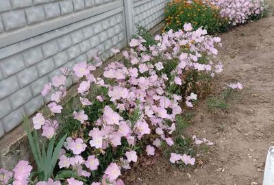 Casă cu 4 camere în Cerăt - 1