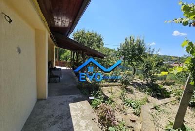 Casa de Uricani, Miroslava, Iasi - 0 Comision, 1000 mp Tere - 11