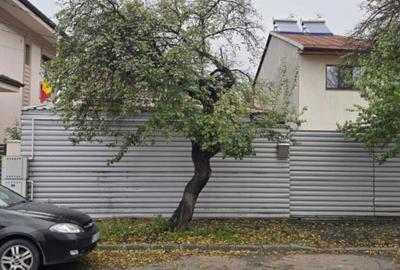 Casă cu 4 camere cu Teren 246 Mp în Bucureștii Noi - 4