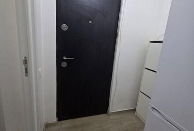 Apartament cu 2 camere semidecomandat, mobilat în Viziru 1 - 7