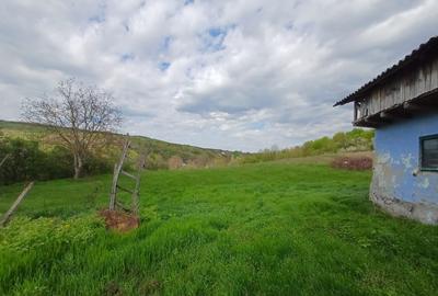 Casă cu 4 camere cu Teren 10000 Mp în Tulești - 5