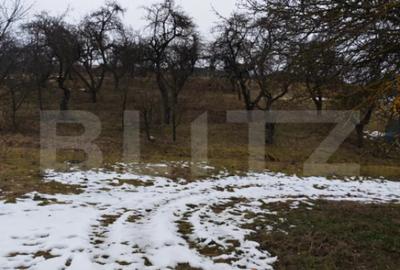 Teren de 1268 mp, în Mihai Viteazu - 5