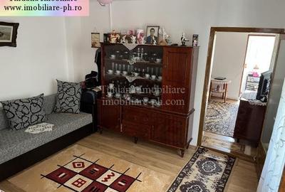 Tihuana Imobiliare:casa de vanzare-Buna Vestire - 17
