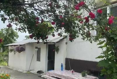 Casă cu 3 camere în Mihăești - 19