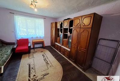 Casa de vanzare in zona Vintu cu 10.790 mp teren Casa de vanzare in zona Vintu cu 10.790 mp teren - 3