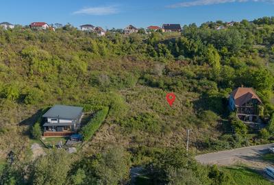 Teren 6.583 mp cu dubla deschidere si utilitati, Calea Adevarului - Oradea - 5