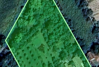 Casă cu 3 camere în Mișca - 5