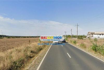 Teren 14000 mp la Dj Moara Vlasiei Gradistea latura Padure - 3