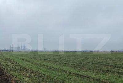 Teren intravilan industrial, 41.000 mp, front 117 m, I?alni - 4