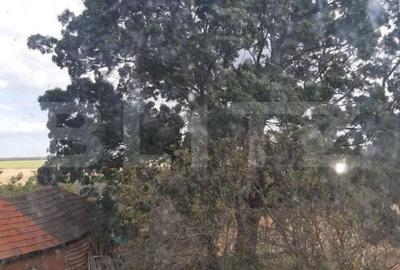 Casă cu 4 camere cu Teren 1008 Mp în Bucovăț - 3