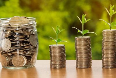 Teren Construcții intravilan de 16682 mp, în Ștefăneștii de Jos - 3