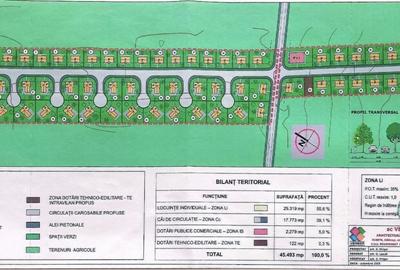 Teren Construcții intravilan de 45602 mp, în Frumușani - 7