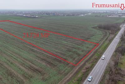 Teren Construcții intravilan de 23728 mp, în Frumușani - 1