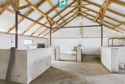Spațiu industrial, de 765 mp, în Variaș - 12