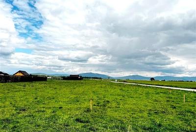 FILM! Deschidere intravilan pe 900mp, rezidential/ investitional - 18