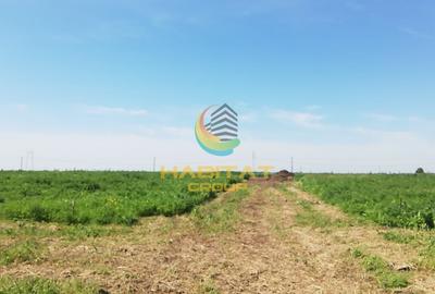 Teren Construcții intravilan de 450 mp, în Frumușani - 4