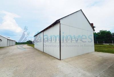 Spațiu industrial, de 1,290 mp, în Sălard - 9