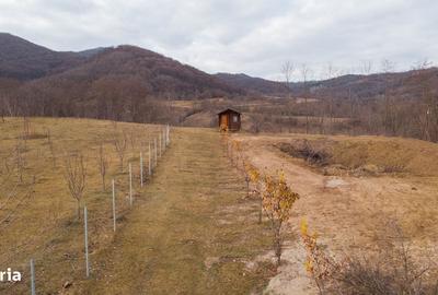 Spațiu comercial, în Mărunțișu - 9