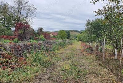 Teren de 1200 mp, în Goranu - 3