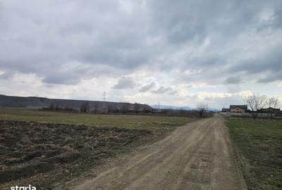 Teren de 5957 mp, în Central