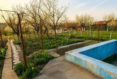 Casă cu Teren 1348 Mp în Giarmata - 2