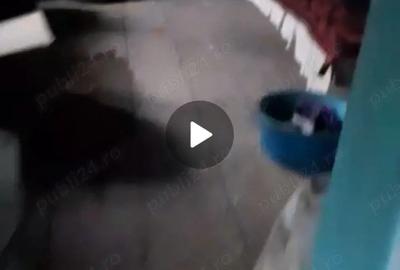 Casă cu 2 camere în Ițcani - 8