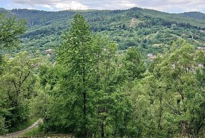 Teren de 2300 mp, în Valea Doftanei - 2