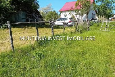Spațiu comercial, în Brădetu - 6