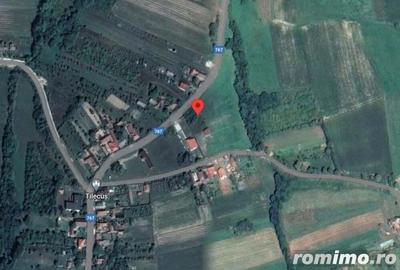 Teren intravilan-com. Tileagd, jud. Bihor, id R1995140 - 1
