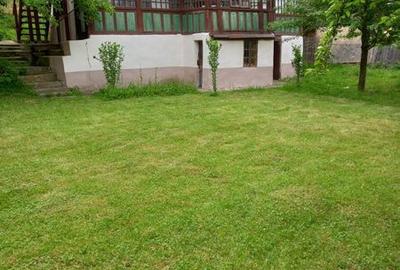 Casă cu 2 camere cu Teren 6420 Mp în Lipănești - 4