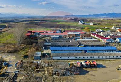 Spațiu comercial, de 298 mp, în Feldioara - 12