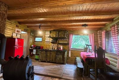 Casă cu 2 camere în Neagra - 6