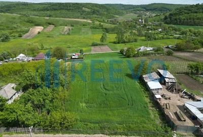 Teren de vanzare, Sat Valea Mare, Com. Ro?iori, Bacau - 2