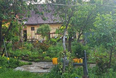 De vanzare ap 1 cam la casa, Zona Badea Cartan, centrala gaz - 8