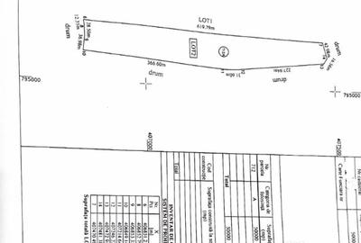 Teren de 50000 mp, în Cataloi