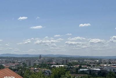 Spațiu comercial, în Valea Roșie - 1