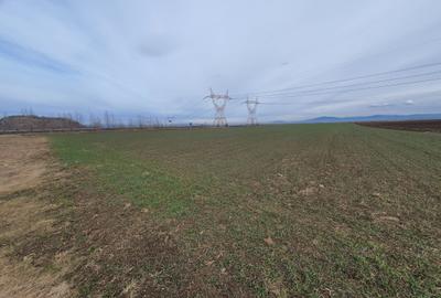 Teren agricol extravilan de 6500 mp, în Centură - 3