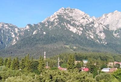 Apartament 3 camere Busteni
