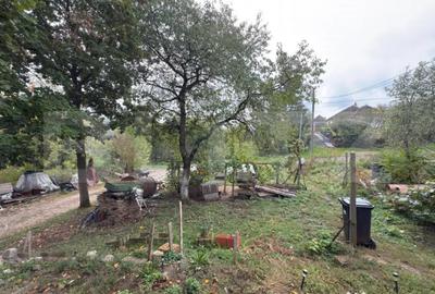 Casă cu 3 camere cu Teren 3088 Mp în Viile Satu Mare - 3