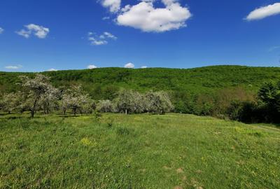 Teren de 680 mp, în Budeasa Mică - 2
